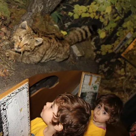 Italia מלון טריאסטה