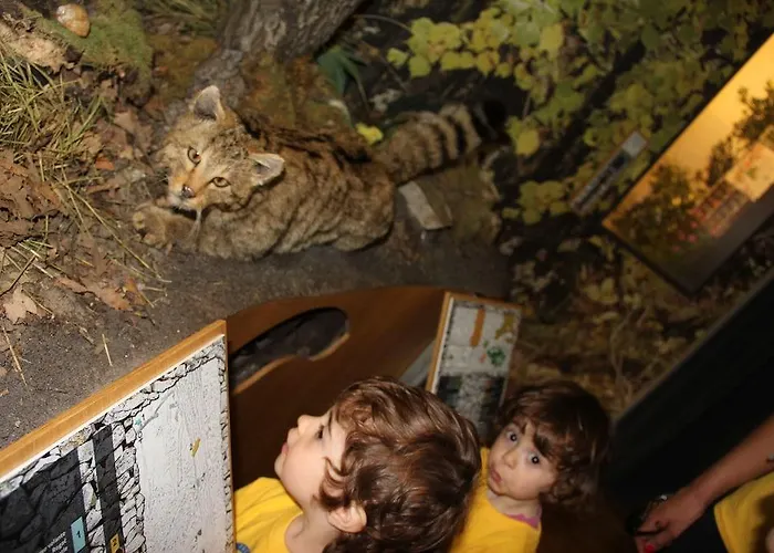 Italia Szálloda Trieszt